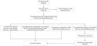 Dynamic changes in gut microbiota during pregnancy among Chinese women and influencing factors: A prospective cohort study